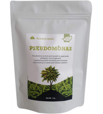 Pseudomonas 1 Kg